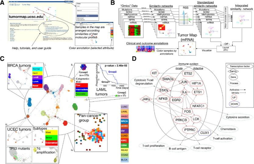TumorMap: Exploring the Molecular Similarities of Cancer Samples in an Interactive Portal